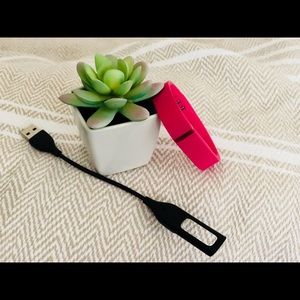 Fitbit Flex